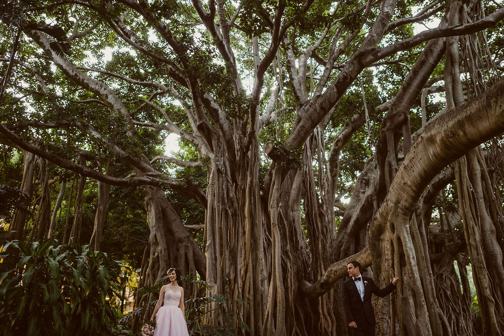 qut venue collection wedding gallery